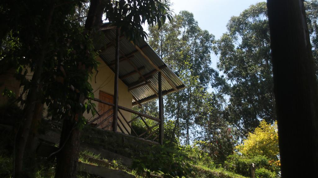 Amasiko Homestay Lake Bunyonyi Kabale Ngoại thất bức ảnh