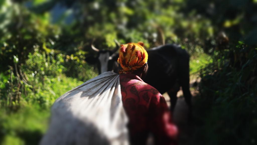 Amasiko Homestay Lake Bunyonyi Kabale Ngoại thất bức ảnh