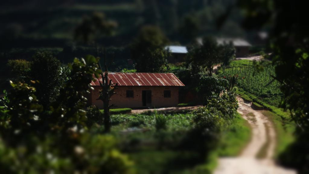 Amasiko Homestay Lake Bunyonyi Kabale Ngoại thất bức ảnh